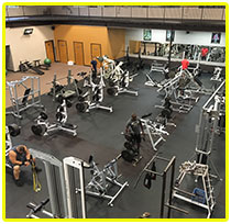 Wolf's Fitness